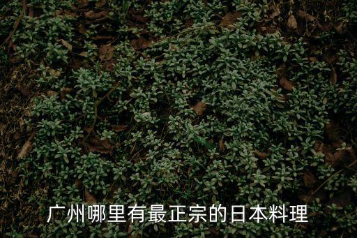 廣州哪里有最正宗的日本料理