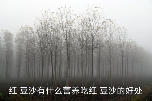 紅 豆沙有什么營養(yǎng)吃紅 豆沙的好處