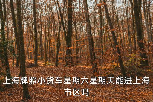 上海牌照小貨車星期六星期天能進上海市區(qū)嗎