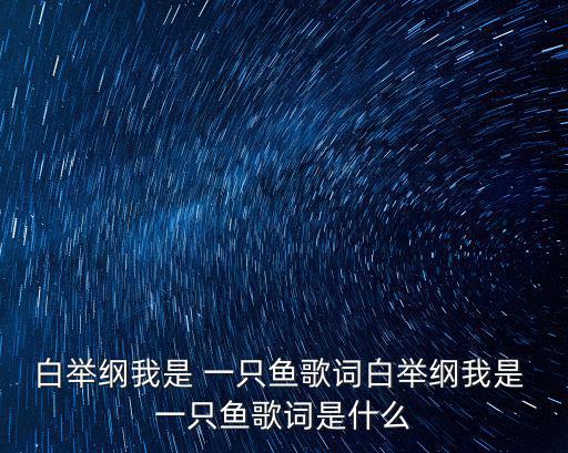 白舉綱我是 一只魚歌詞白舉綱我是 一只魚歌詞是什么