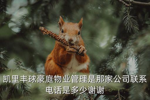 凱里豐球豪庭物業(yè)管理是那家公司聯(lián)系電話是多少謝謝