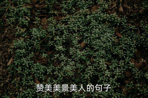 贊美美景美人的句子