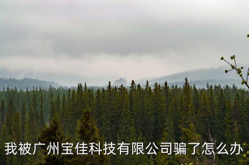 我被廣州寶佳科技有限公司騙了怎么辦