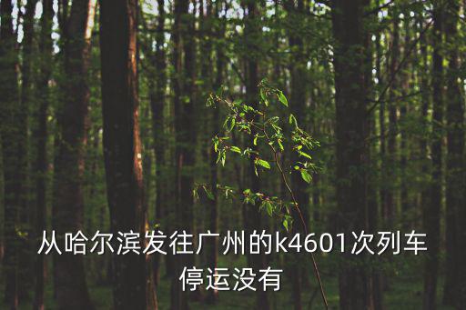 哈爾濱到廣州的火車是否停運(yùn)，從哈爾濱到廣州東站的火車在廣州北站停嗎