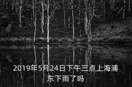 2019年5月24日下午三點上海浦東下雨了嗎