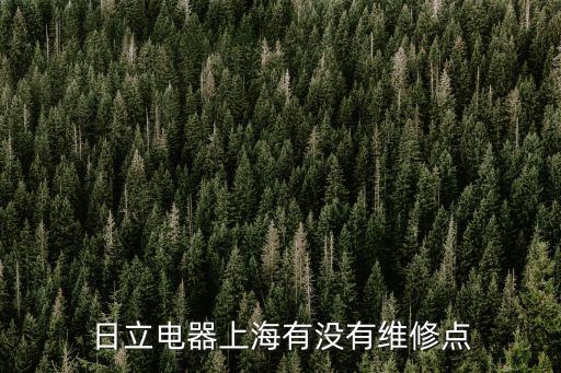 日立電器上海有沒有維修點