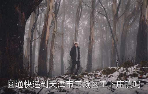 圓通快遞到天津市寶坻區(qū)王卜莊鎮(zhèn)嗎