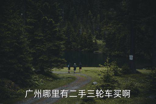 廣州哪里有二手三輪車買啊