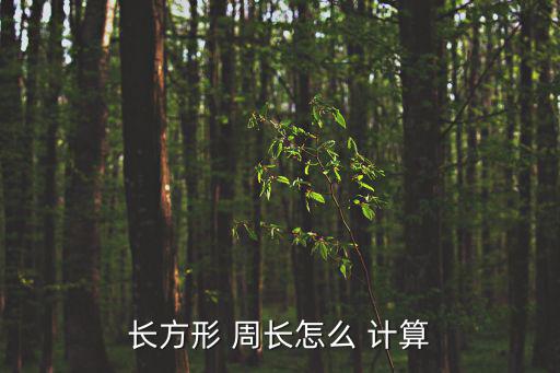 周長(zhǎng)計(jì)算方法,正方形的長(zhǎng)和寬是怎么回事?