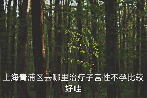 上海市青浦區(qū)不孕不育醫(yī)院，上海青浦區(qū)去哪里治療子宮性不孕比較好哇