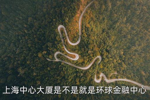 上海中心大廈是不是就是環球金融中心
