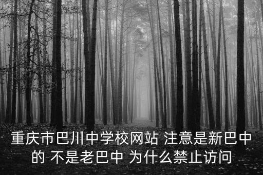 重慶市巴川中學校網(wǎng)站 注意是新巴中的 不是老巴中 為什么禁止訪問