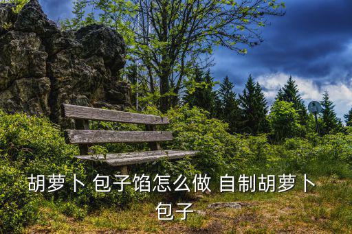 胡蘿卜 包子餡怎么做 自制胡蘿卜 包子