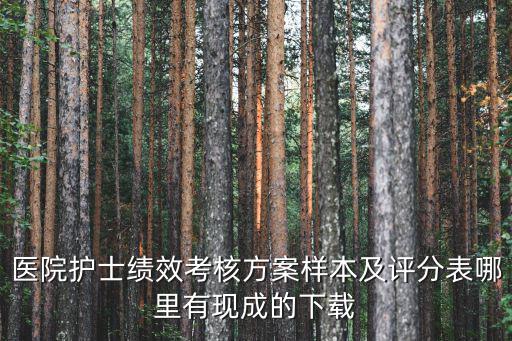 醫院護士績效考核方案樣本及評分表哪里有現成的下載