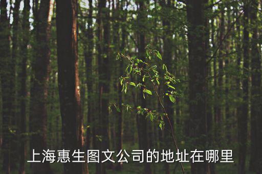 上?；萆鷪D文公司的地址在哪里