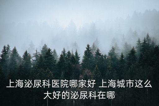 上海泌尿科醫院哪家好 上海城市這么大好的泌尿科在哪