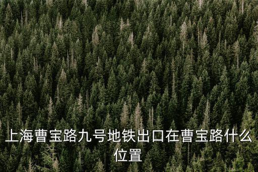 九號線曹路站是上海市哪個區(qū)，上海曹寶路九號地鐵出口在曹寶路什么位置