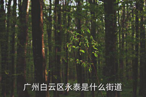 廣州白云區永泰是什么街道