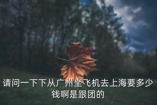 廣州飛往上海的公務艙多少錢，廣州到上海機票多少錢