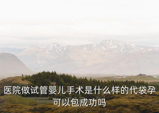 醫(yī)院做試管嬰兒手術(shù)是什么樣的代袋孕可以包成功嗎