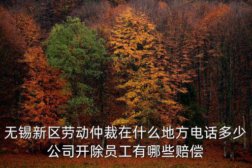 無錫新區(qū)勞動仲裁在什么地方電話多少公司開除員工有哪些賠償