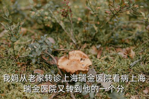 我媽從老家轉(zhuǎn)診上海瑞金醫(yī)院看病上海瑞金醫(yī)院又轉(zhuǎn)到他的一個(gè)分
