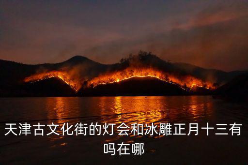 天津古文化街的燈會和冰雕正月十三有嗎在哪