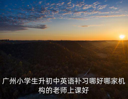 廣州小學生升初中英語補習哪好哪家機構的老師上課好