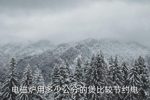 電池爐,電磁爐是典型的通過電磁輻射產(chǎn)生熱量裝置