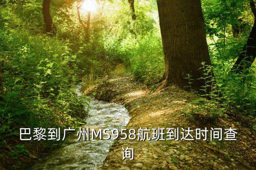 巴黎到廣州MS958航班到達時間查詢