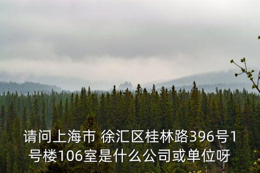 請問上海市 徐匯區桂林路396號1號樓106室是什么公司或單位呀