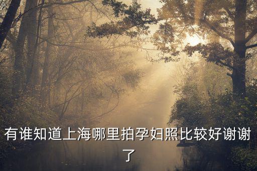 上海市惠南鎮孕婦照，上海惠南鎮的孕婦去哪產檢