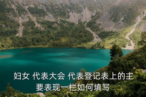  婦女 代表大會 代表登記表上的主要表現一欄如何填寫