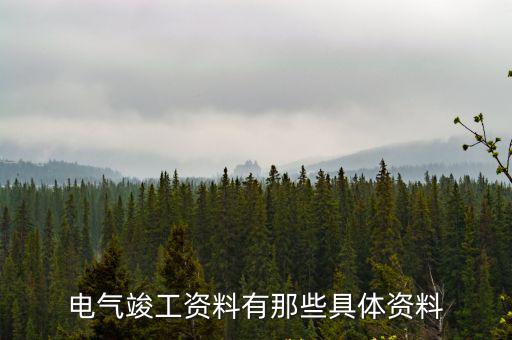 電氣竣工資料有那些具體資料