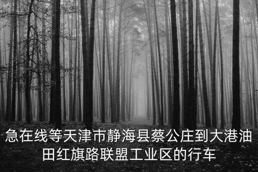 急在線等天津市靜海縣蔡公莊到大港油田紅旗路聯盟工業區的行車