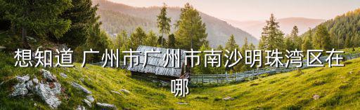 想知道 廣州市廣州市南沙明珠灣區在哪
