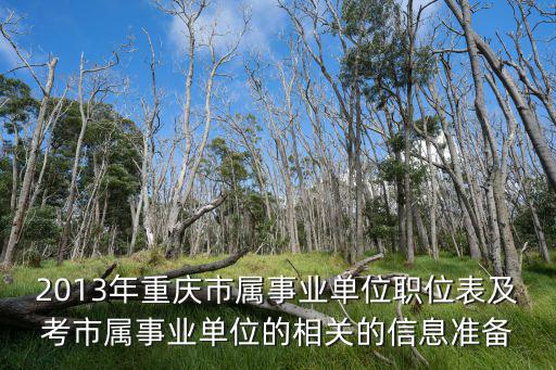 重慶市事業單位考試職位篩選，2013年重慶市屬事業單位招聘考試職位表下載網址