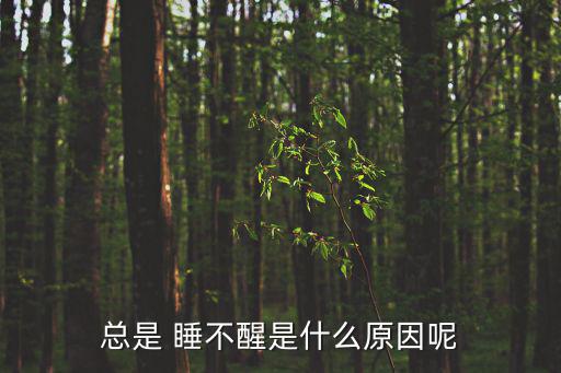 總是 睡不醒是什么原因呢