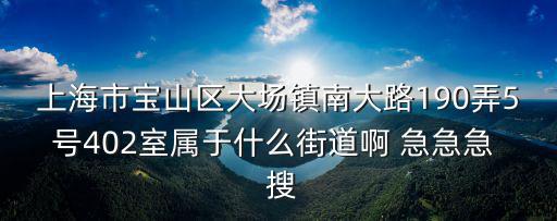 上海市寶山區大場鎮南大路190弄5號402室屬于什么街道啊 急急急  搜