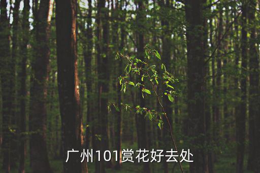 廣州101賞花好去處