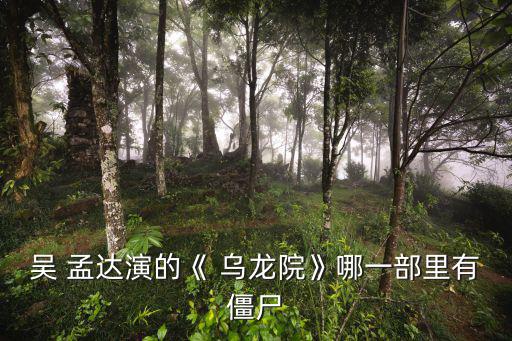 烏龍?jiān)簠敲线_(dá),《烏龍醫(yī)院》第二部:少林波普與林志穎的故事