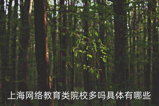 上海市網絡教育學校，上海網絡教育類院校多嗎具體有哪些