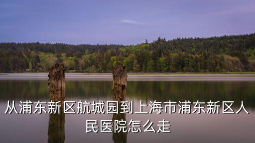 從浦東新區(qū)航城園到上海市浦東新區(qū)人民醫(yī)院怎么走