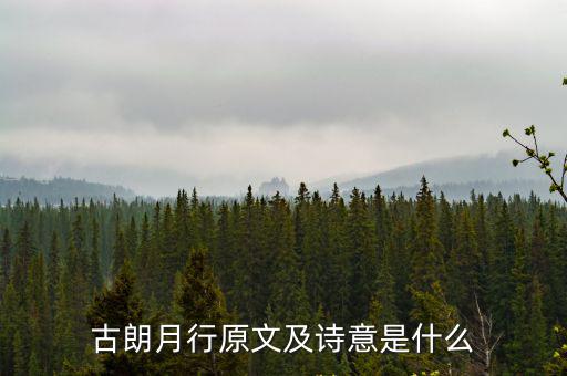 古詩古朗月行，古朗月行的詩句