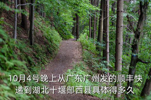 廣州快遞可以寄湖北嗎，廣州宅急送能送服裝到湖北嗎