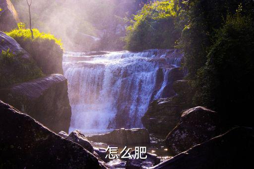 怎么肥