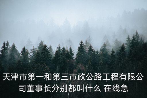 天津市第一和第三市政公路工程有限公司董事長分別都叫什么 在線急