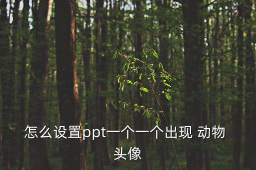 動(dòng)物頭像圖片,如何設(shè)置動(dòng)物頭像?