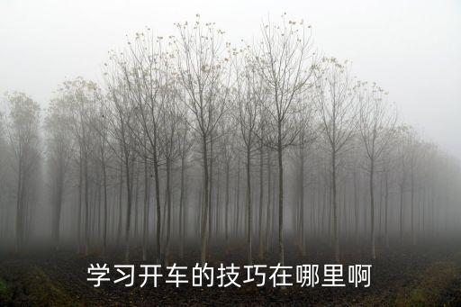 學習開車的技巧在哪里啊