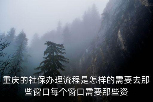 重慶的社保辦理流程是怎樣的需要去那些窗口每個窗口需要那些資
